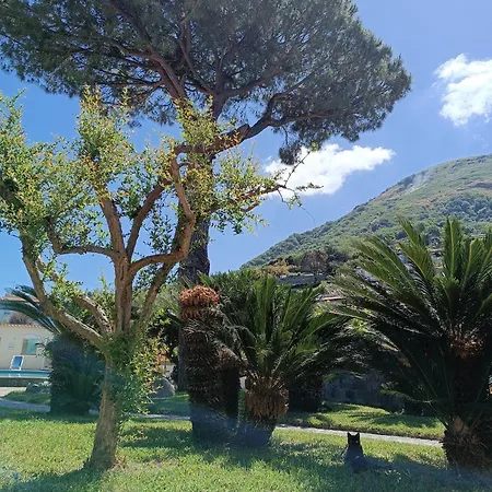 Hotel apartamentowy Olivia Forio di Ischia